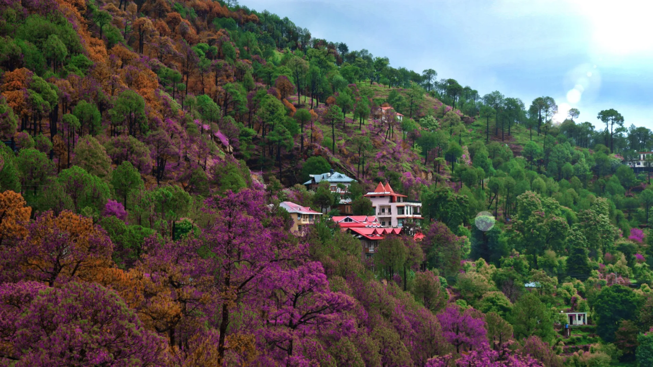 Kasauli – Quiet Escape in Himachal