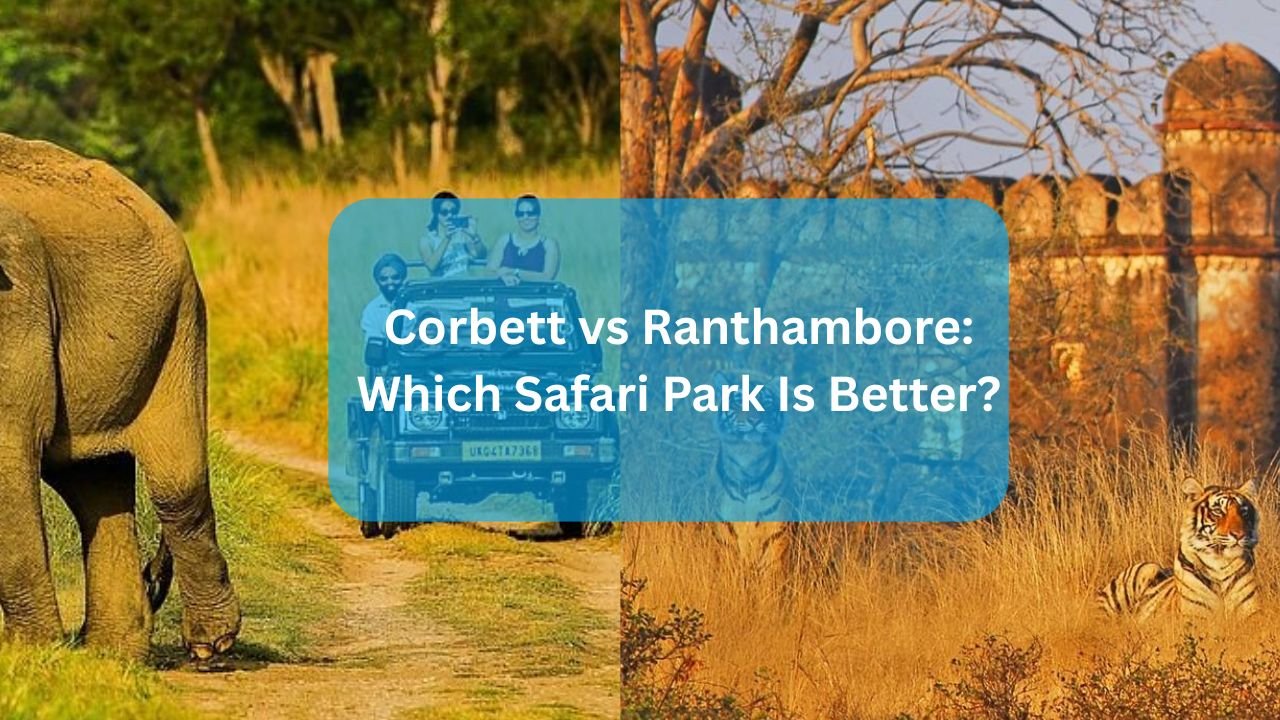 Corbett vs Ranthambore: Which Safari Park Is Better?
