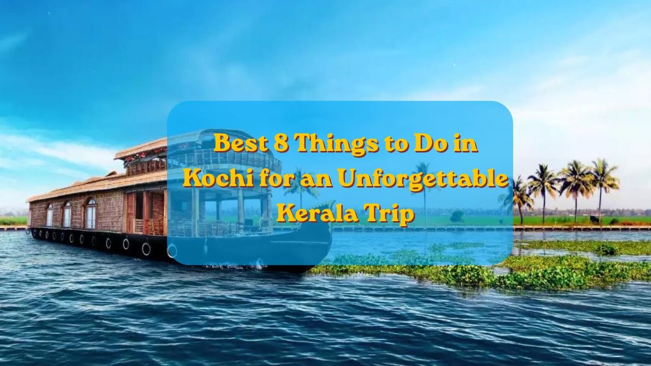 things to do in kochi